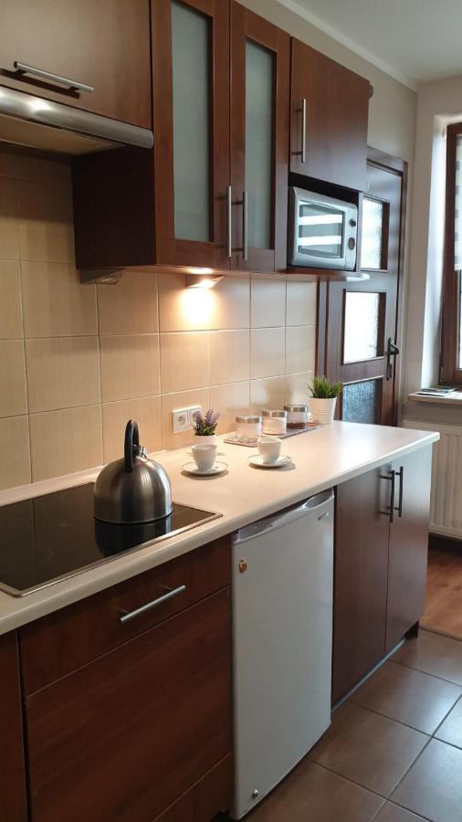 Kaizen Apartament Крыница-Здруй Экстерьер фото